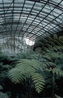 Vulcania : Vulkangarten - Foto � J. Georg Friebe, 2002