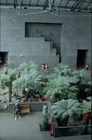 Vulcania : Vulkangarten - Foto � J. Georg Friebe, 2002